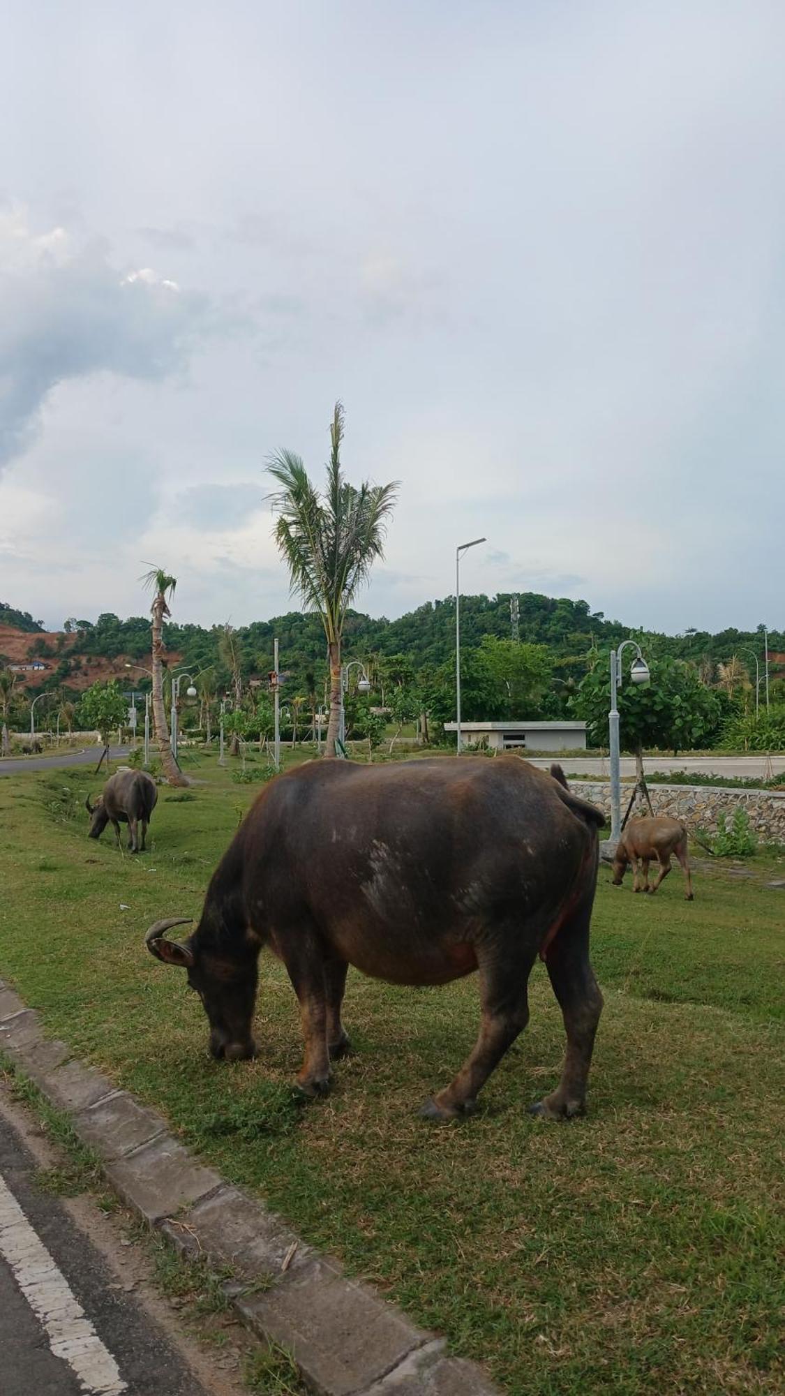 Roby Homestay Kuta  Eksteriør bilde